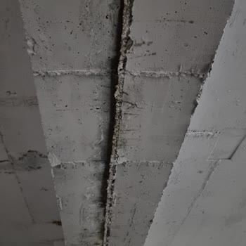 Profesyonel Sökem Site Yönetim Şikayeti