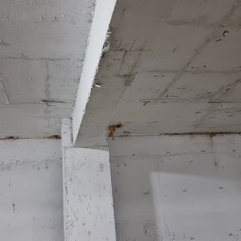 Profesyonel Sökem Site Yönetim Şikayeti