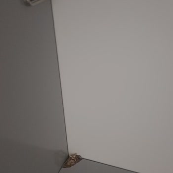 Mondi Gardıropta Hasarlı Parçalar Ve Tam Değişim Talebim Reddedildi