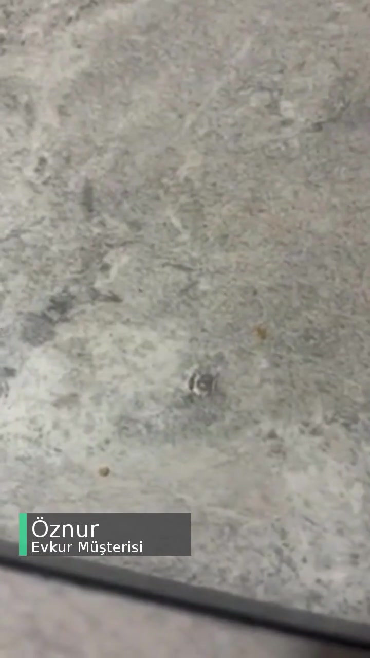 Evkur Mutfak Masası Kurulum Sorunu! videonun kapak resmi
