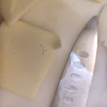 Erdem Saroz Kaşarda Kıl: Hijyen Ve Sağlık Endişesi