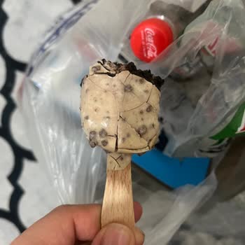 Magnum Mini Dondurmanın Bozuk Çıkması Ve Sağlık Endişesi