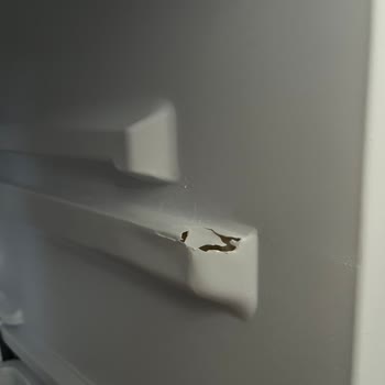 Vestel Buzdolabımda Dondurucu Kırılmaları Ve Ürün Değişimi Talebi