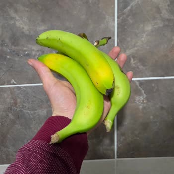 Migros Safranbolu Şubesinden Gelen Ham Muzlar İçin Ücret İadesi Talebi