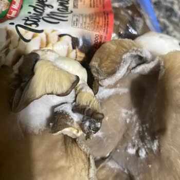 Getir'den Gelen Küflü İstiridye Mantarı İçin Tam İade Ve Geri Arama Talebi