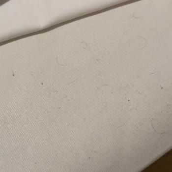 Sigara Kokulu Oda, Hijyen Sorunu Ve İade Reddedildi