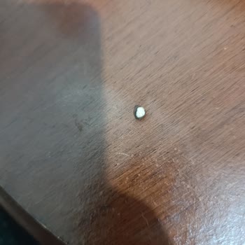 Eti Gıda Mini Kraker İçinde Demir Parçası: Sağlık Ve Güven Tehlikesi