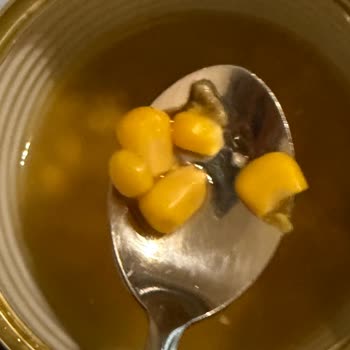 Superfresh Konserve Mısırda Çürük Ve Küflenmiş Taneye Rastladım