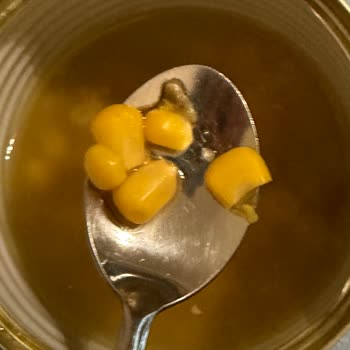 Superfresh Konserve Mısırda Çürük Ve Küflenmiş Taneye Rastladım