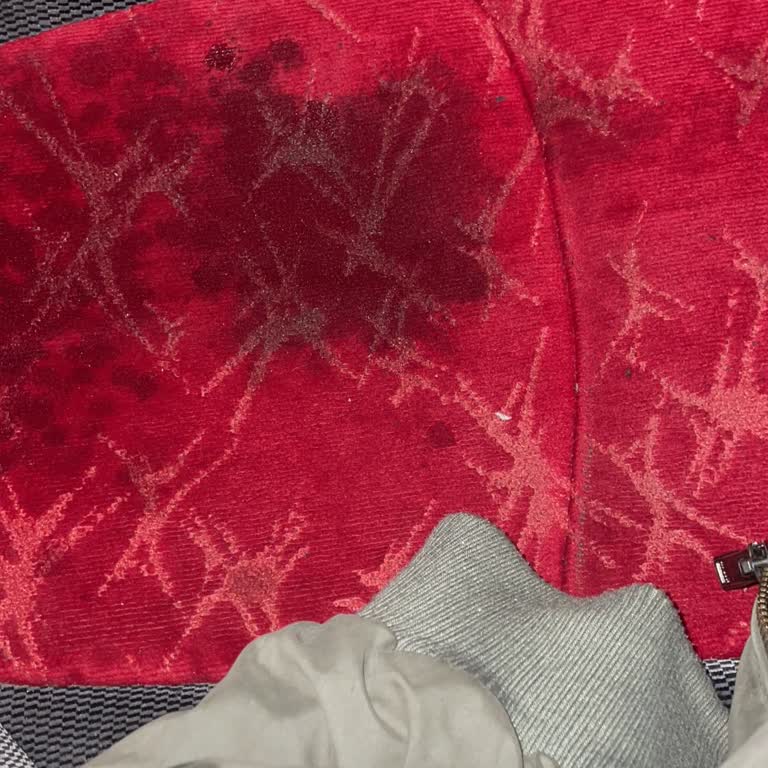 Yarım Saat Gecikme Ve Yağmur Altında Islak Otobüs Yolculuğu