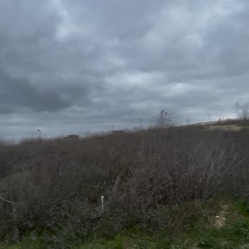 Greenlife Arsa'dan Altyapı Ve Tiny House Projesi Tamamlanmadı