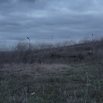 Greenlife Arsa'dan Altyapı Ve Tiny House Projesi Tamamlanmadı