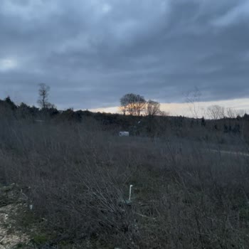 Greenlife Arsa'dan Altyapı Ve Tiny House Projesi Tamamlanmadı