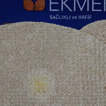 Fit Ekmekte Küflenmiş Ürünler İçin Mağduriyet Ve Değişim Talebi