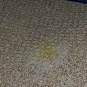 Fit Ekmekte Küflenmiş Ürünler İçin Mağduriyet Ve Değişim Talebi