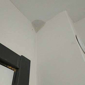 Su Çeken Duvarlar İçin Misek İnşaat’tan Cevap Ve Acil Onarım Talebi