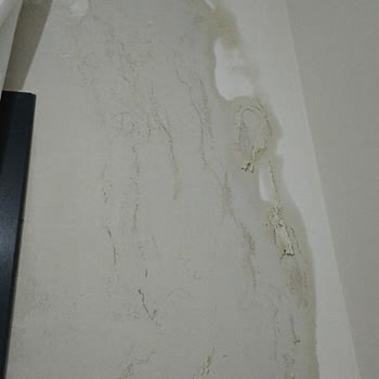 Su Çeken Duvarlar İçin Misek İnşaat’tan Cevap Ve Acil Onarım Talebi