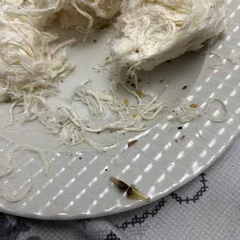 Pişmaniyede Böcek Çıktı, Hijyen İhlali