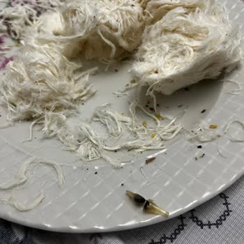 Pişmaniyede Böcek Çıktı, Hijyen İhlali