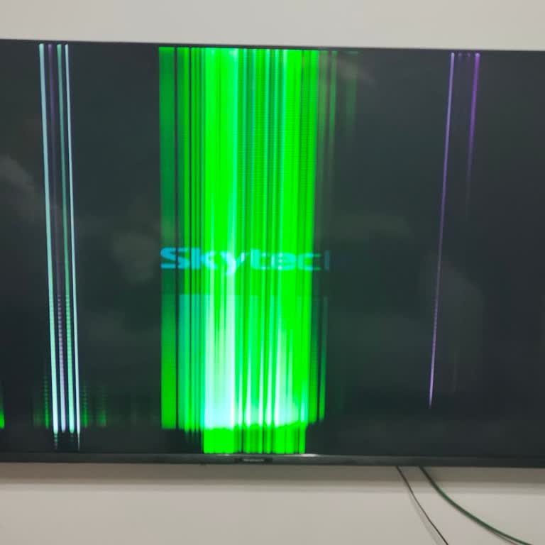 Skytech 65 İnç TV'de Panel Arızası Ve Servis Gecikmesi