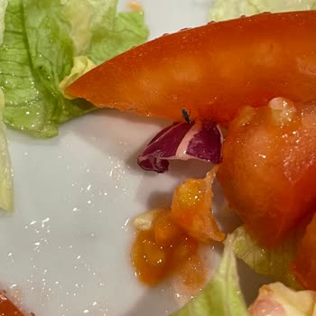 Bursa IKEA Restoranında Kirli Tabaklar Ve Böcekli Yemek Hijyen İhlali Ve Çözüm Talebi