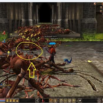 Metin2 Ezel Sunucusunda Bot Sorunu GM Eylemsizliği İle Çözülmüyor