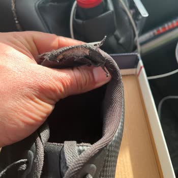 Ayıplı Spor Ayakkabı Açılma Sorunu Üretici Reddi