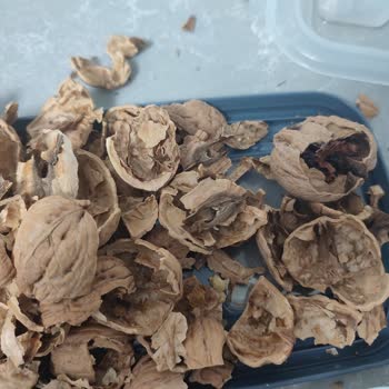 Ceviz Siparişinde Tekrarlanan Kalitesiz Ürün Ve Cevapsız Müşteri Hizmeti