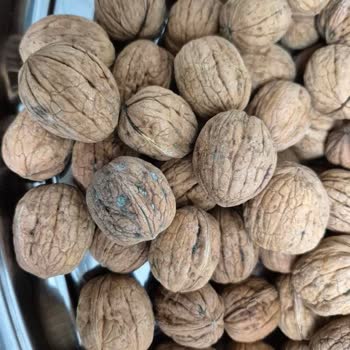 Ceviz Siparişinde Tekrarlanan Kalitesiz Ürün Ve Cevapsız Müşteri Hizmeti