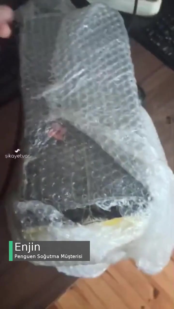 Penguen Soğutma Kanunsuz videonun kapak resmi