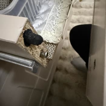 Modalife Şifonyer Çekmecesi Hızla Dağıldı: Üretim Ve İşçilik Hatası