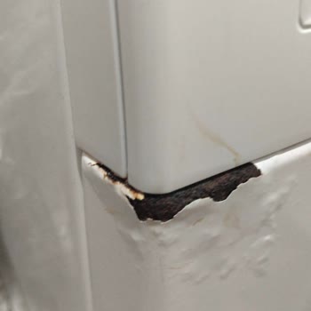 Bosch Çamaşır Makinesinin Deterjan Haznesindeki Paslanma Ve Ücretsiz Parça Değişimi Talebi