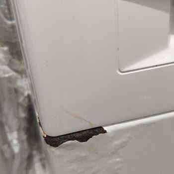 Bosch Çamaşır Makinesinin Deterjan Haznesindeki Paslanma Ve Ücretsiz Parça Değişimi Talebi