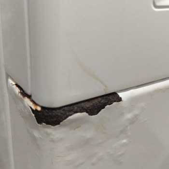 Bosch Çamaşır Makinesinin Deterjan Haznesindeki Paslanma Ve Ücretsiz Parça Değişimi Talebi