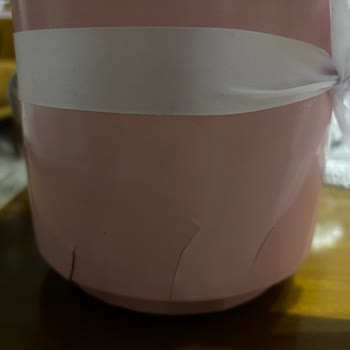 Üşümüş Ve Solmuş Orkide İçin Tam İade Ve Yeniden Gönderim Talebi