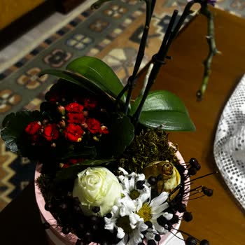 Üşümüş Ve Solmuş Orkide İçin Tam İade Ve Yeniden Gönderim Talebi