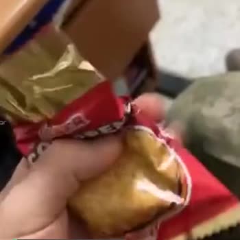 Ülker Boş Paket