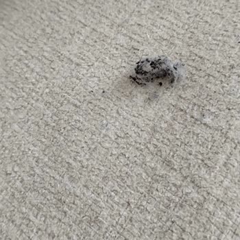 Koltuk Takımında Hızlı Boncuklanma Ve Garanti Reddi