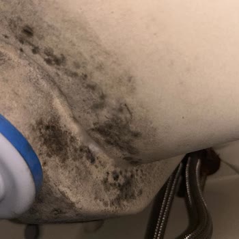 Bir Hafta İçinde Küflenmiş Banyo Dolabı Ve Şirketin İlgisiz Yaklaşımı