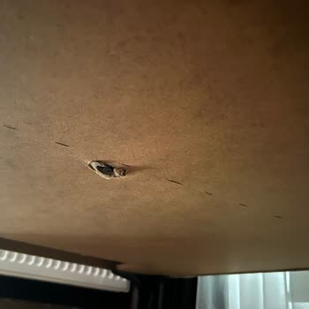 Nova Koltuk Takımının Kırılan Ayakları Ve Yetersiz Garanti Servisi