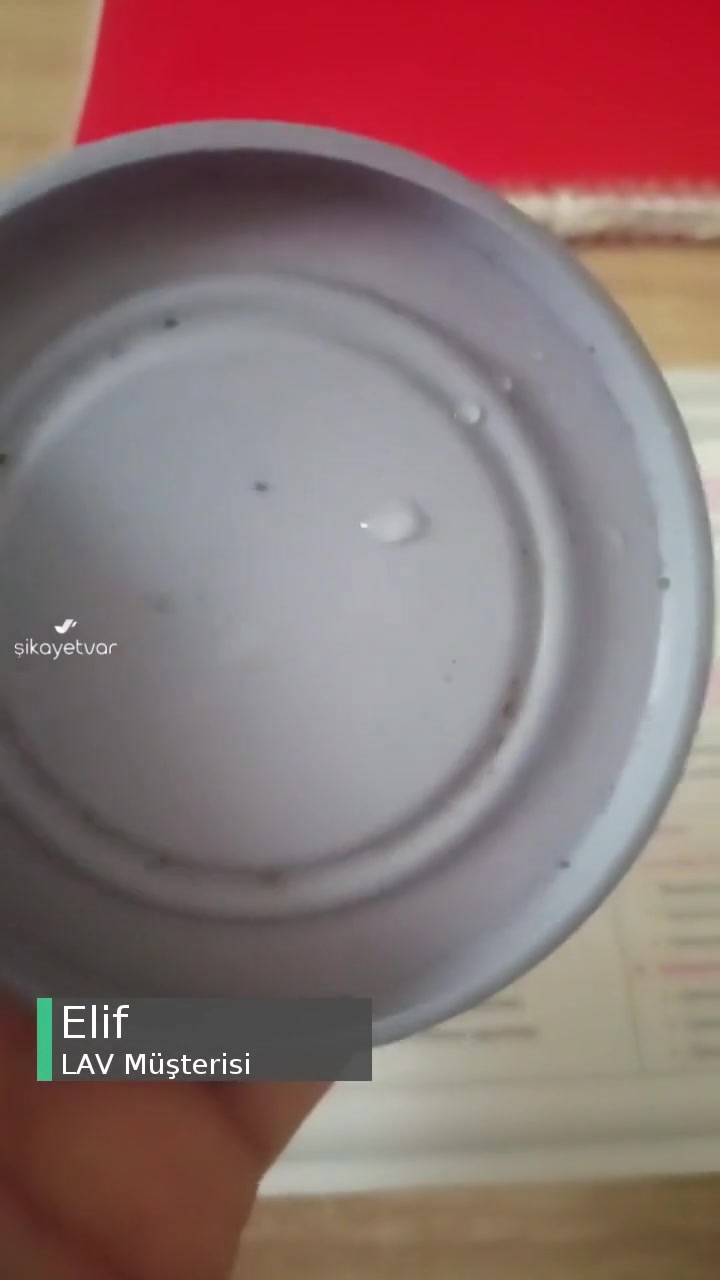 Lav Kapak Küflenmesi, Küf Geçmiyor Ve Kapak Satılmıyor Bir Yerde videonun kapak resmi