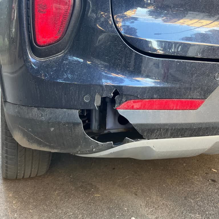 Жду Запасную Деталь Тормозного Щита Skywell ET5 Уже Год