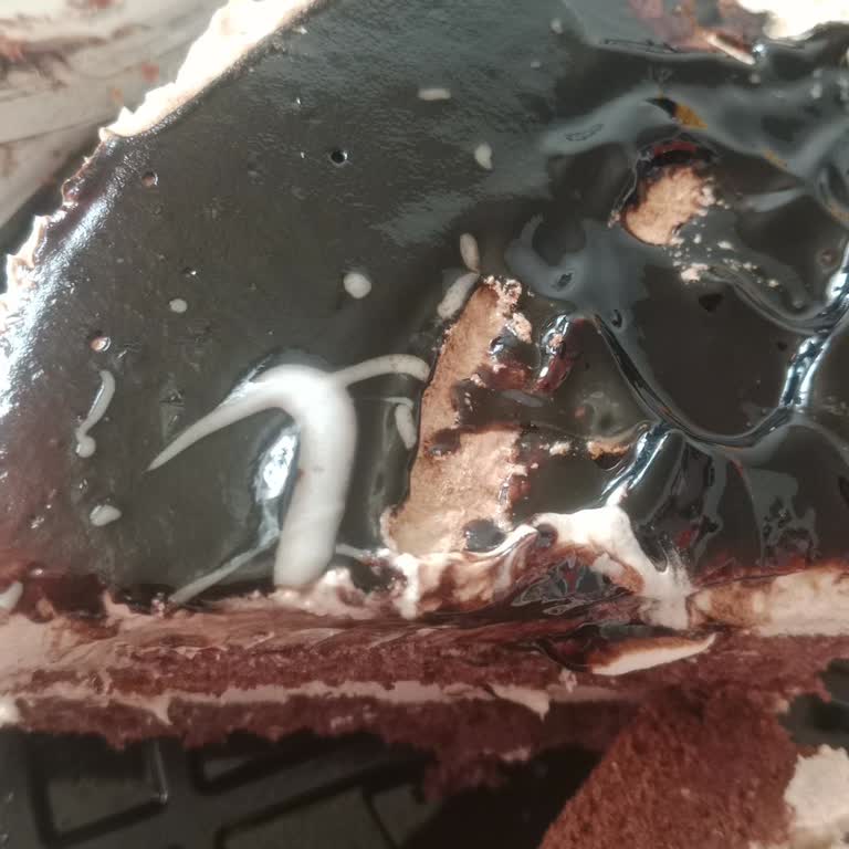 Feast & Cake Çikolatalı Bölümde Aşırı Acı Tat