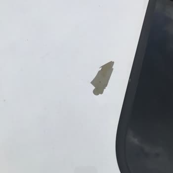 Honda Civic’inde Boya Aşınması Ve Pas Sorunu Üzerine İyi Niyet Garantisi Talebi