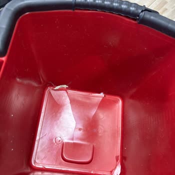 Aras Kargo'nun Kırık Ürün Teslimatı Ve Tutanağın Tutulamaması