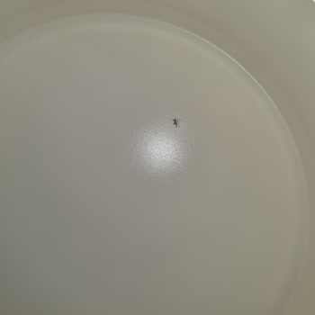 Üzüm Çelik Defolu Yapışmaz Tencere Değişim Talebi