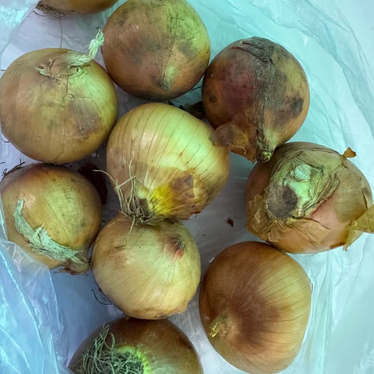 Carrefour Online Siparişimde Son Tüketim Tarihi Yakın Kıyma Ve Çürük Soğan Şikayeti