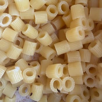 Böcekli Makarna Paketi