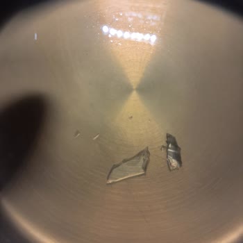 Fide İlkel Kemik Suyunda Cam Parçaları Tespit Edildi