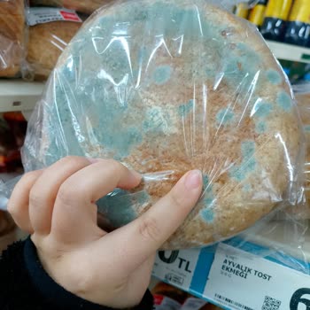 Küflü Ekmek Satışı Müşteri Sağlığını Tehdit Ediyor